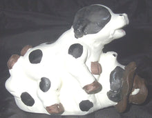 Load image into Gallery viewer, Sexy Mood Cows Cowboy Bovine Love Cows Country Collection