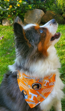 Load image into Gallery viewer, TN Slip on Collar Pet Bandanas ANY Pet Custom Made