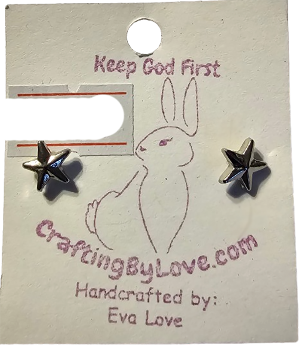 Silver Star Pierced Earrings Fashion Jewelry