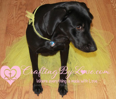 Doggy Tutu Sunshine Yellow